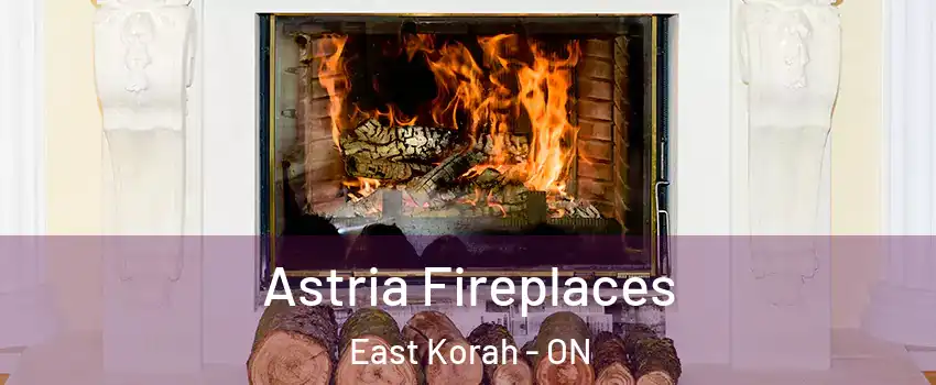  Astria Fireplaces East Korah - ON