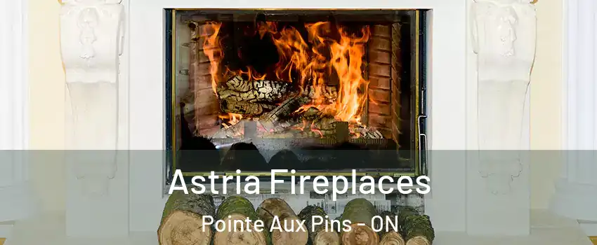  Astria Fireplaces Pointe Aux Pins - ON