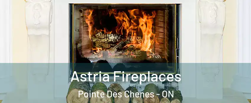  Astria Fireplaces Pointe Des Chenes - ON