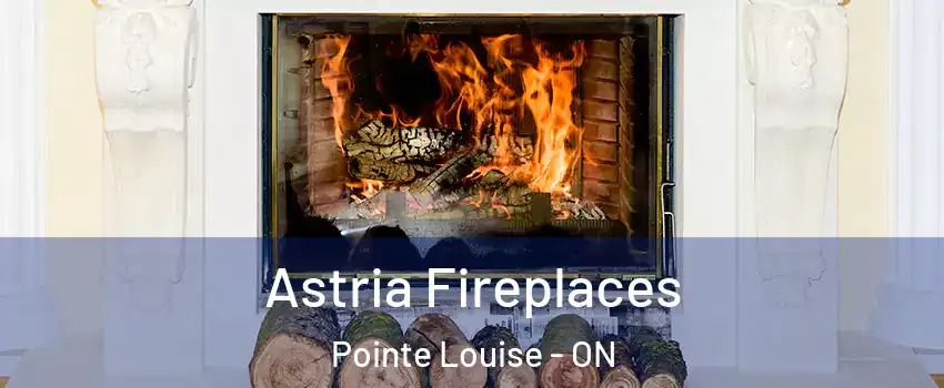  Astria Fireplaces Pointe Louise - ON