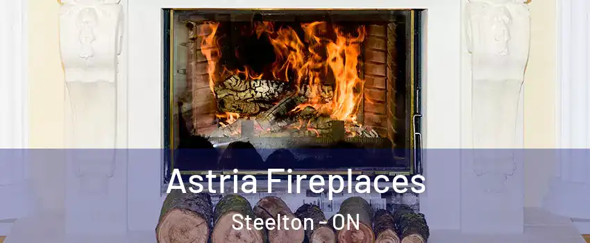  Astria Fireplaces Steelton - ON