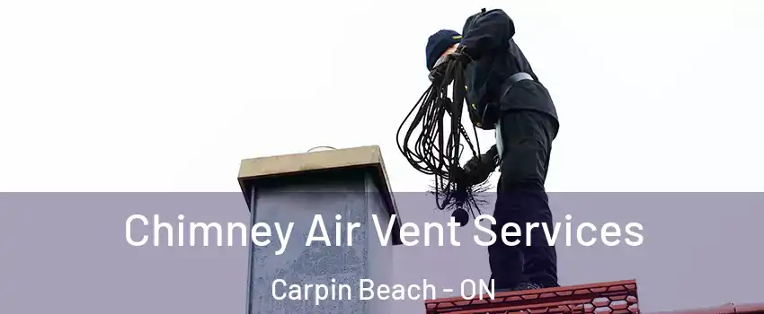  Chimney Air Vent Services Carpin Beach - ON