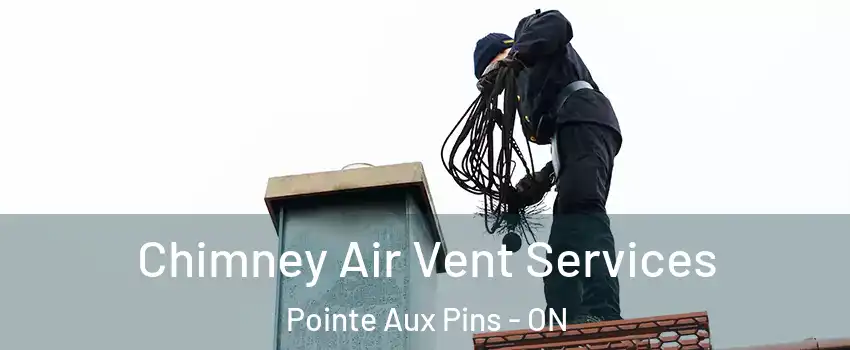  Chimney Air Vent Services Pointe Aux Pins - ON