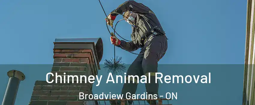  Chimney Animal Removal Broadview Gardins - ON