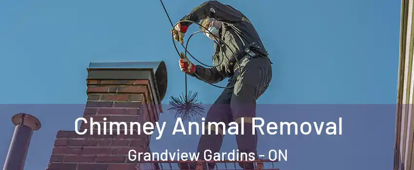  Chimney Animal Removal Grandview Gardins - ON