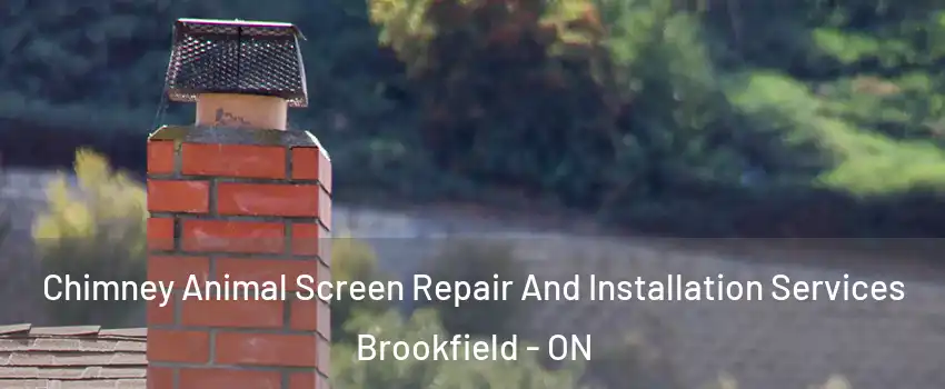  Chimney Animal Screen Repair And Installation Services Brookfield - ON