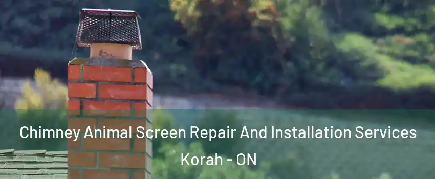  Chimney Animal Screen Repair And Installation Services Korah - ON