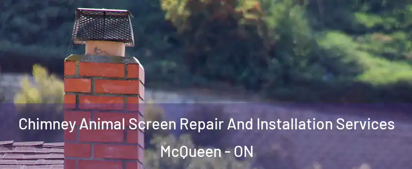  Chimney Animal Screen Repair And Installation Services McQueen - ON