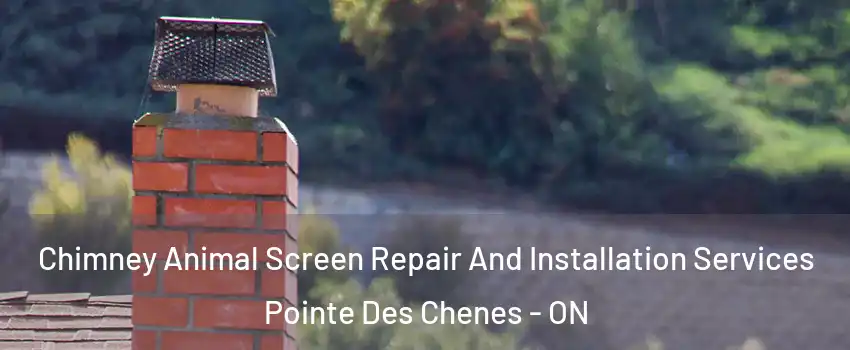  Chimney Animal Screen Repair And Installation Services Pointe Des Chenes - ON