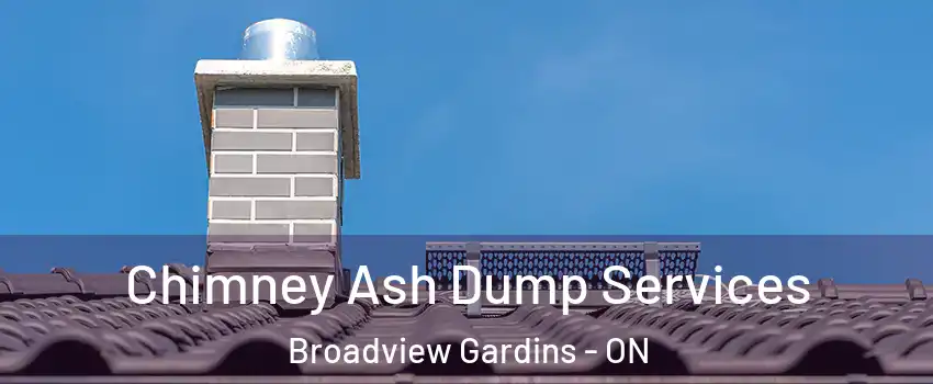  Chimney Ash Dump Services Broadview Gardins - ON