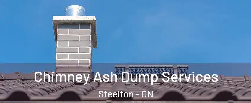  Chimney Ash Dump Services Steelton - ON