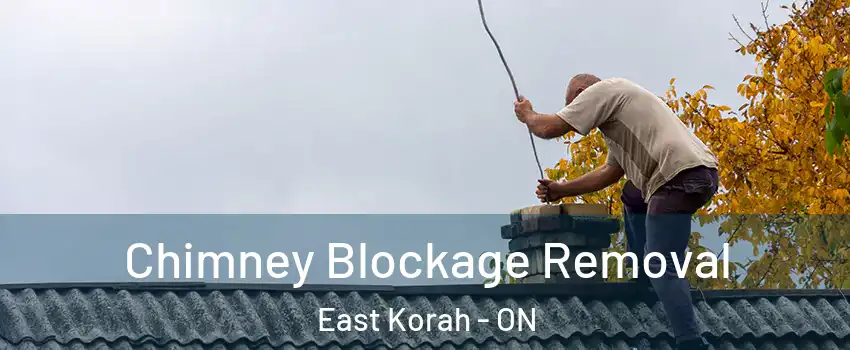  Chimney Blockage Removal East Korah - ON