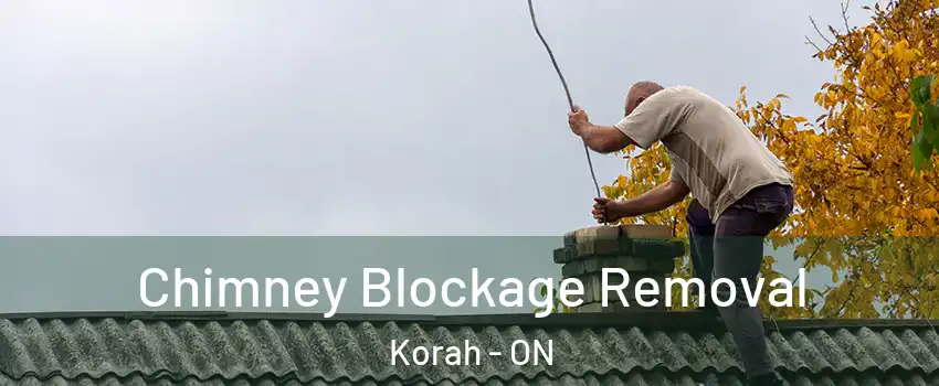  Chimney Blockage Removal Korah - ON