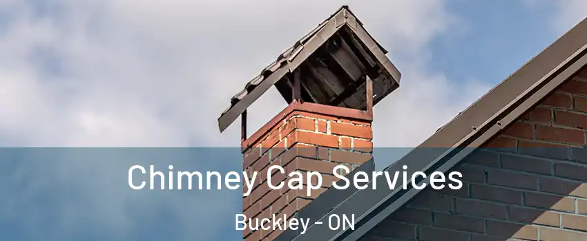  Chimney Cap Services Buckley - ON
