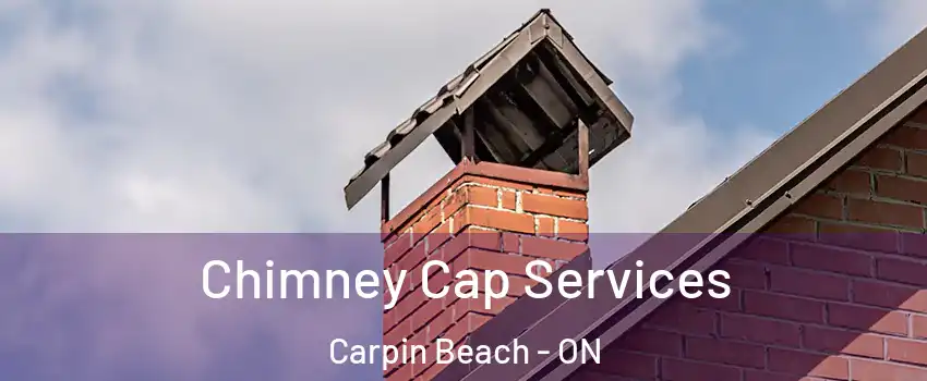  Chimney Cap Services Carpin Beach - ON
