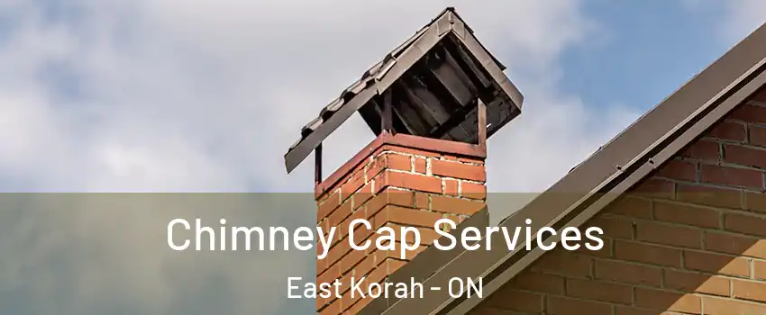  Chimney Cap Services East Korah - ON