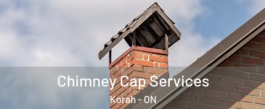  Chimney Cap Services Korah - ON