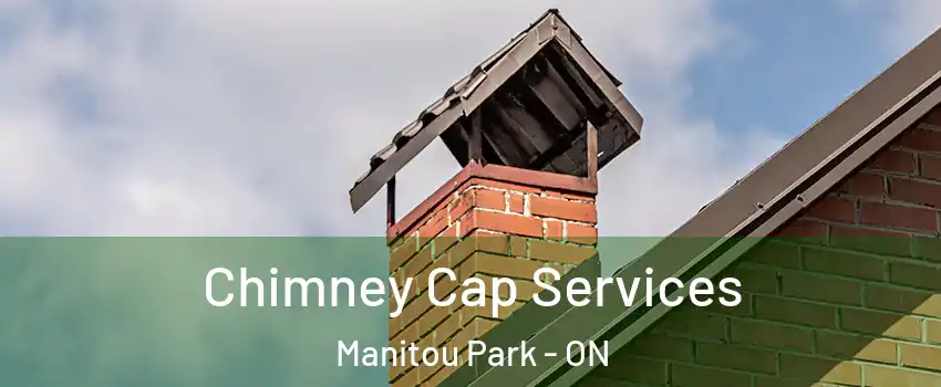  Chimney Cap Services Manitou Park - ON