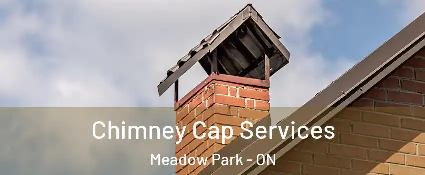  Chimney Cap Services Meadow Park - ON