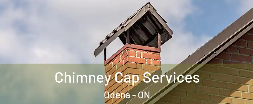  Chimney Cap Services Odena - ON