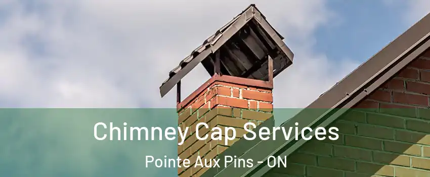  Chimney Cap Services Pointe Aux Pins - ON