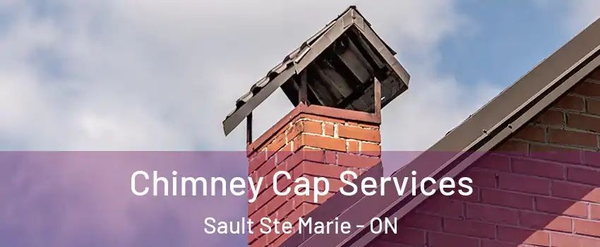  Chimney Cap Services Sault Ste Marie - ON