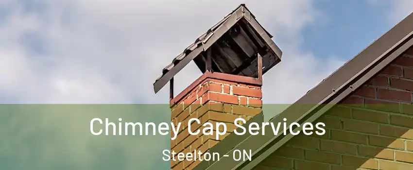  Chimney Cap Services Steelton - ON