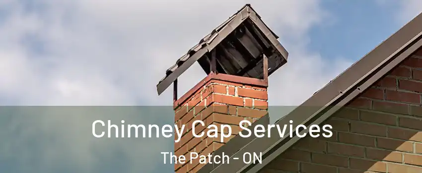  Chimney Cap Services The Patch - ON