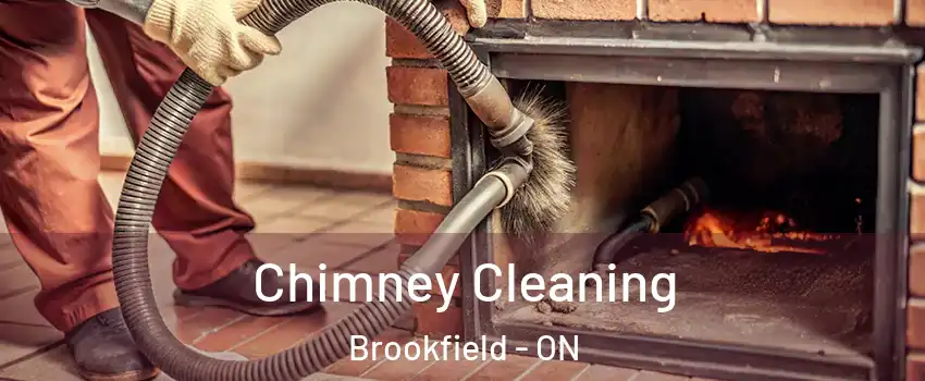  Chimney Cleaning Brookfield - ON