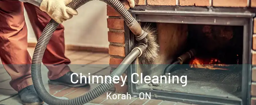  Chimney Cleaning Korah - ON