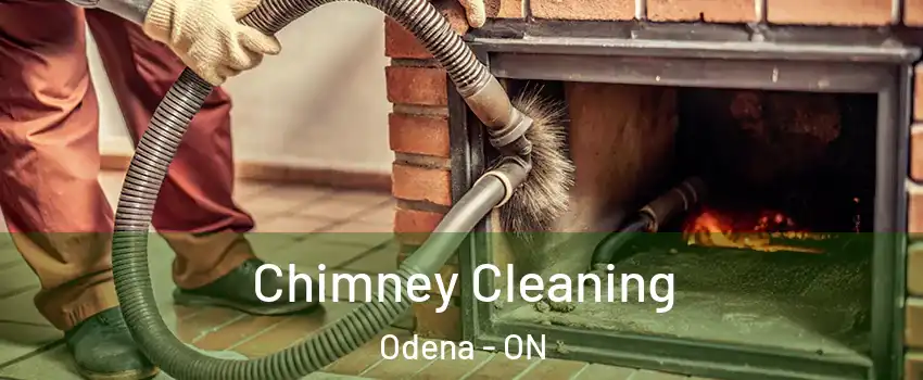  Chimney Cleaning Odena - ON