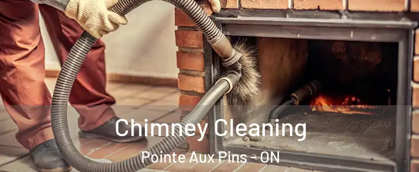  Chimney Cleaning Pointe Aux Pins - ON