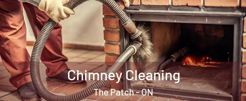  Chimney Cleaning The Patch - ON