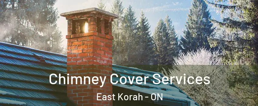  Chimney Cover Services East Korah - ON