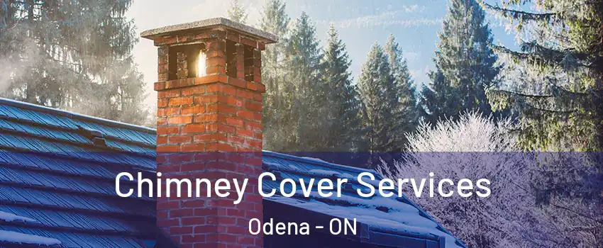  Chimney Cover Services Odena - ON