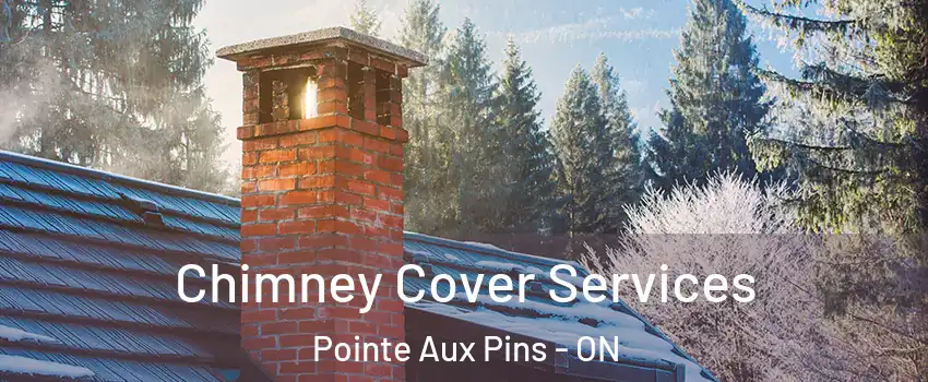  Chimney Cover Services Pointe Aux Pins - ON