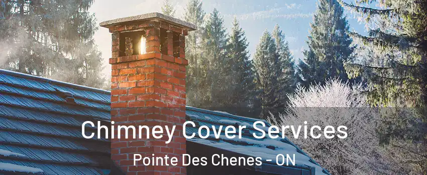  Chimney Cover Services Pointe Des Chenes - ON