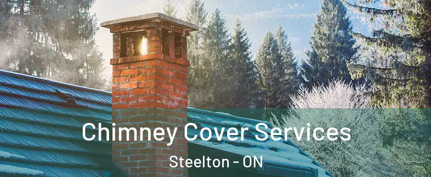  Chimney Cover Services Steelton - ON