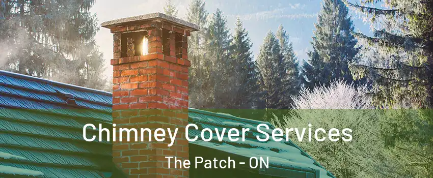  Chimney Cover Services The Patch - ON