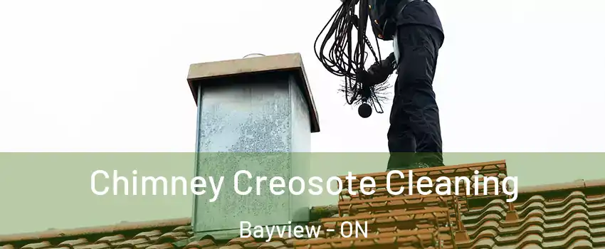  Chimney Creosote Cleaning Bayview - ON