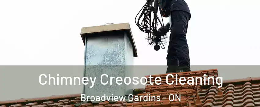  Chimney Creosote Cleaning Broadview Gardins - ON