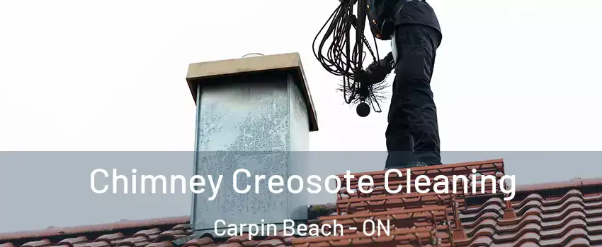  Chimney Creosote Cleaning Carpin Beach - ON