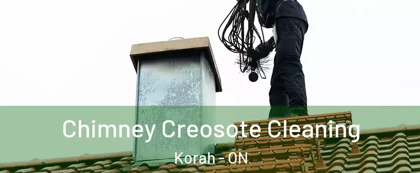 Chimney Creosote Cleaning Korah - ON