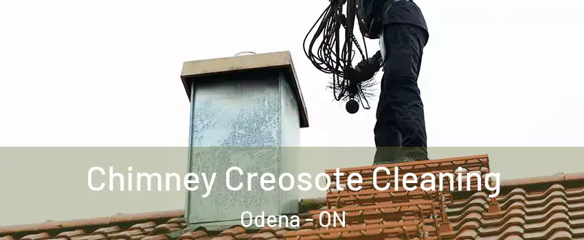  Chimney Creosote Cleaning Odena - ON