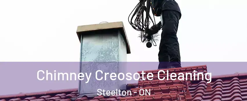  Chimney Creosote Cleaning Steelton - ON