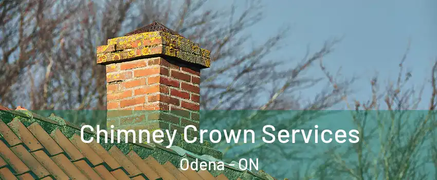  Chimney Crown Services Odena - ON