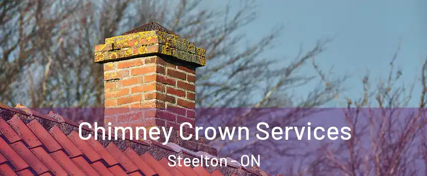 Chimney Crown Services Steelton - ON