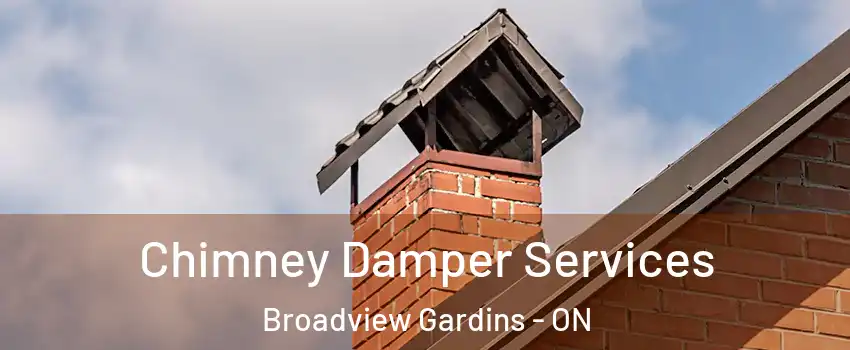 Chimney Damper Services Broadview Gardins - ON