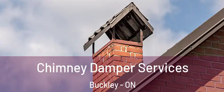  Chimney Damper Services Buckley - ON