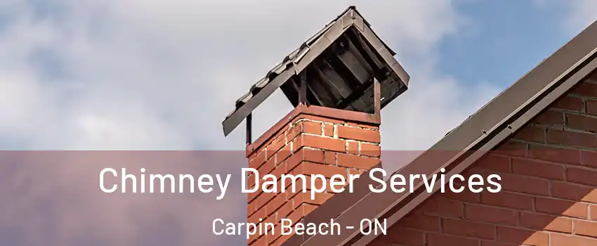 Chimney Damper Services Carpin Beach - ON